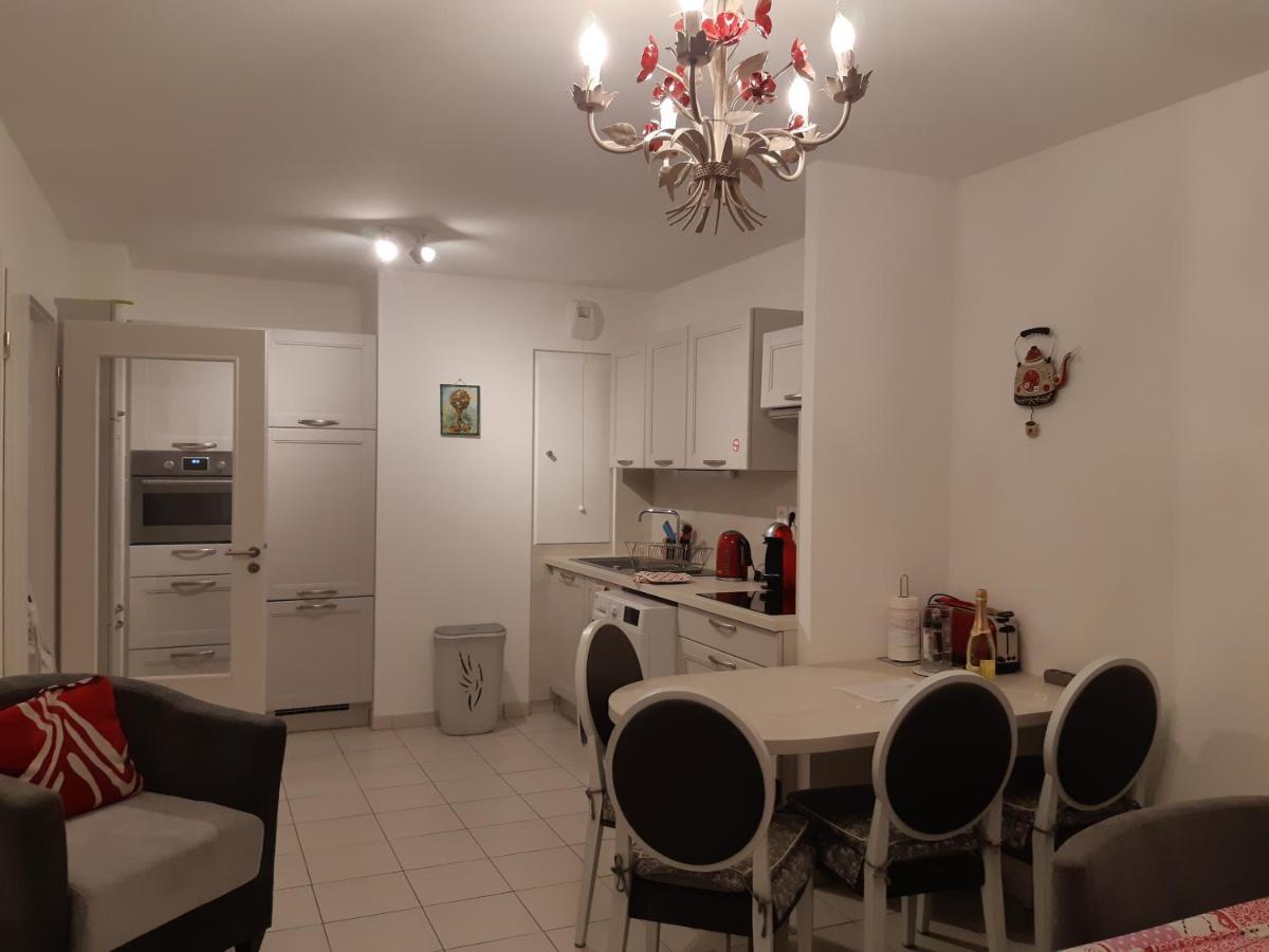 Le Carre Des Fleurs Apartman Strasbourg Kültér fotó